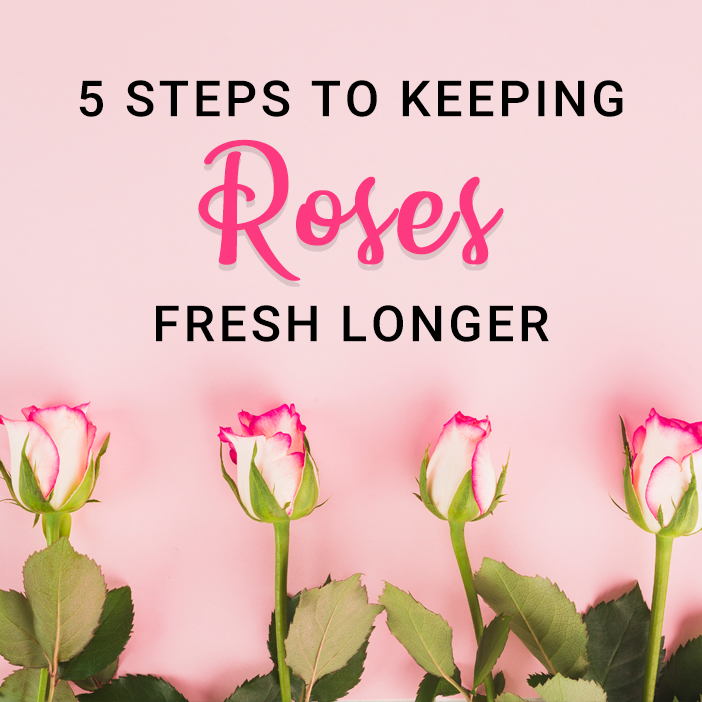 Rose Care: 5 Steps to Keeping Roses Fresh Longer