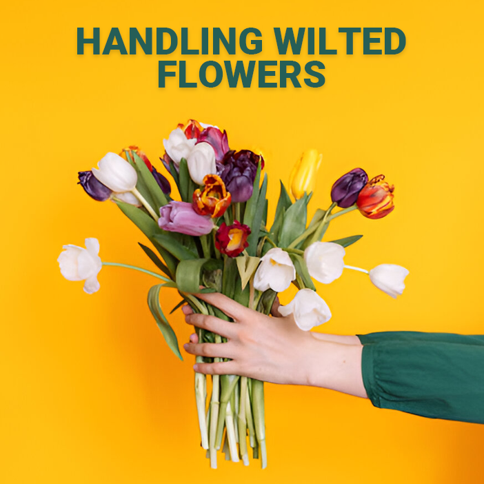 Identifying and Properly Disposing of Wilted Flowers