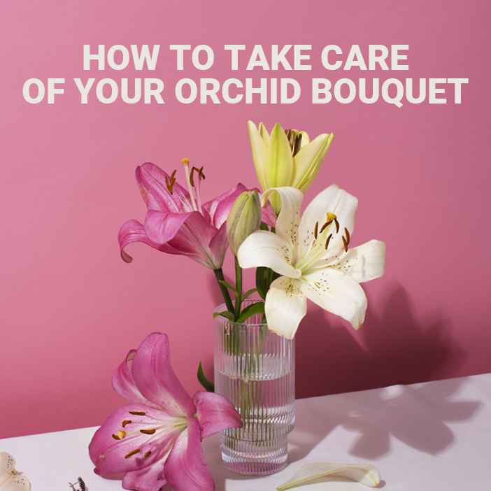 How to Take Care of Your Orchid Bouquet