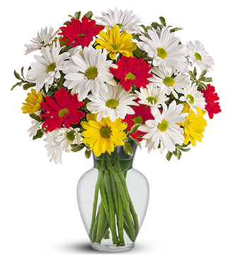 Colorful Daisy Bouquet, theflowershop.ae 38773