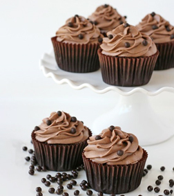 Pure Cocoa Cupcakes