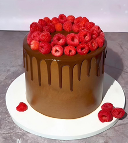 Raspberry Crowned Chocolate Cake