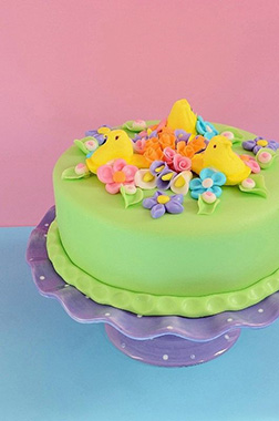 Spring Hatchlings Cake