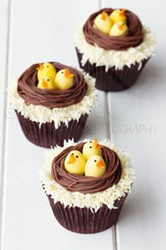 Hungry Hatchlings Cupcakes