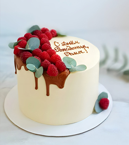 Beautiful Winter Cake