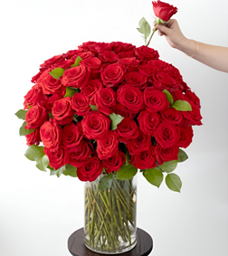 Bold Red Rose Arrangement