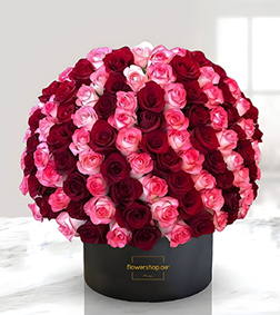 Rose Paradise Hatbox